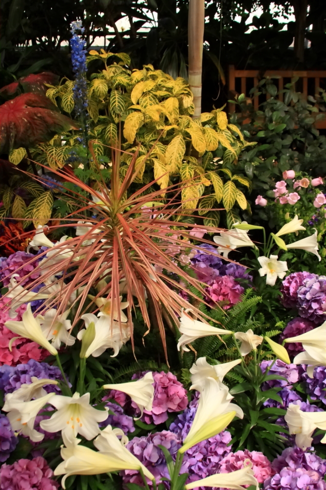 2011 04 26 IMG 28943